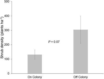 Black-Tailed Prairie Dog (Cynomys ludovicianus) Reintroduction Can Limit Woody Plant Proliferation in Grasslands